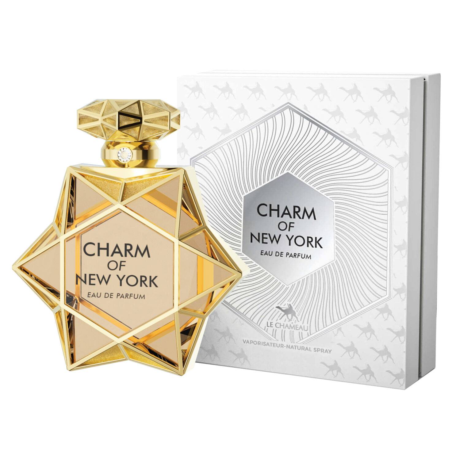 Charm of New York by Le Chemeau